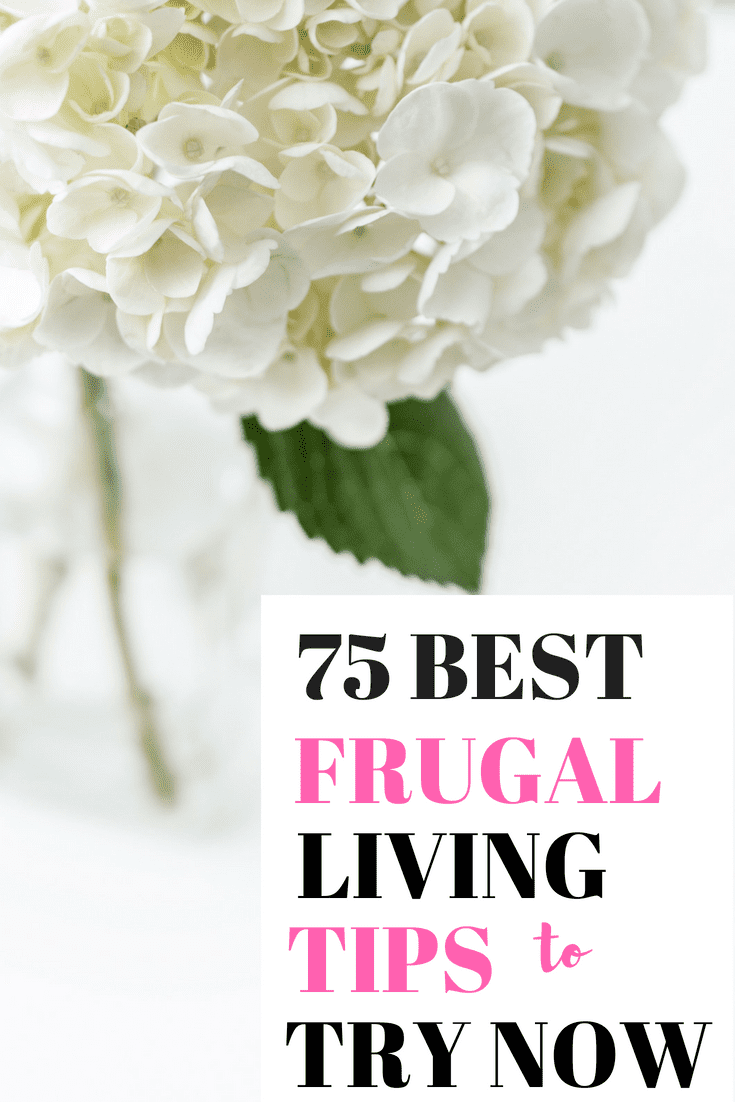 75 Best Frugal Living Tips to Try Now
